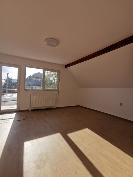 COLENTINA -Dobroesti 5 Camere Vila La Curte