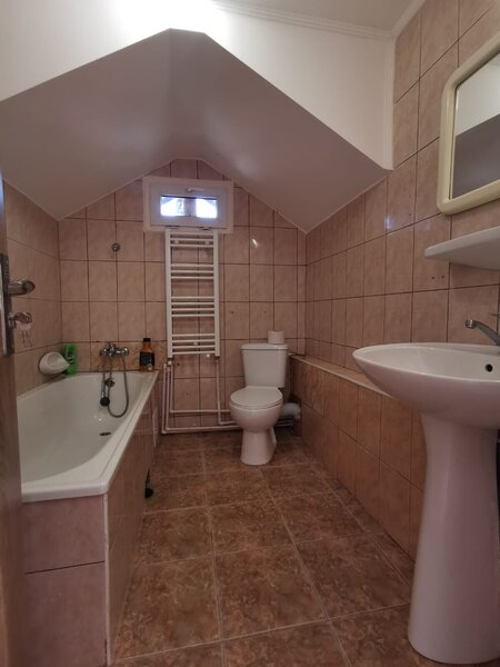 COLENTINA -Dobroesti 5 Camere Vila La Curte