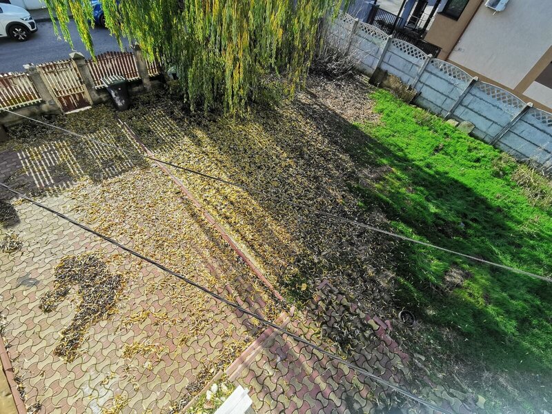 COLENTINA -Dobroesti 5 Camere Vila La Curte